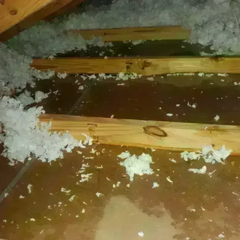 Attic Water Damage in Wakulla County, FL